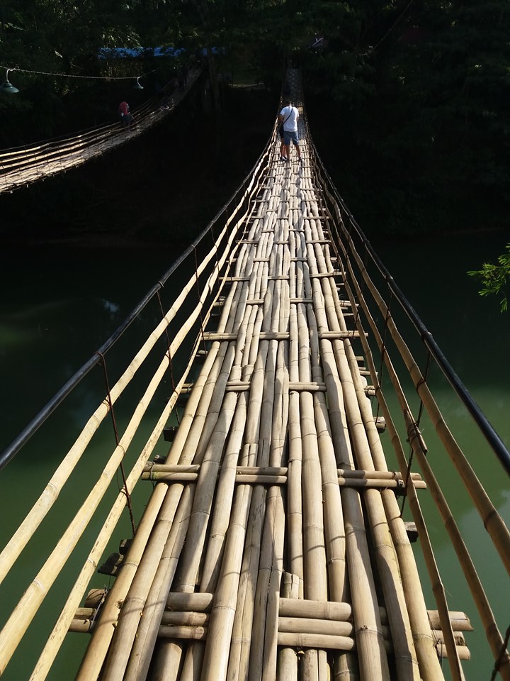  Bamboo Hanging Bridge in bohol