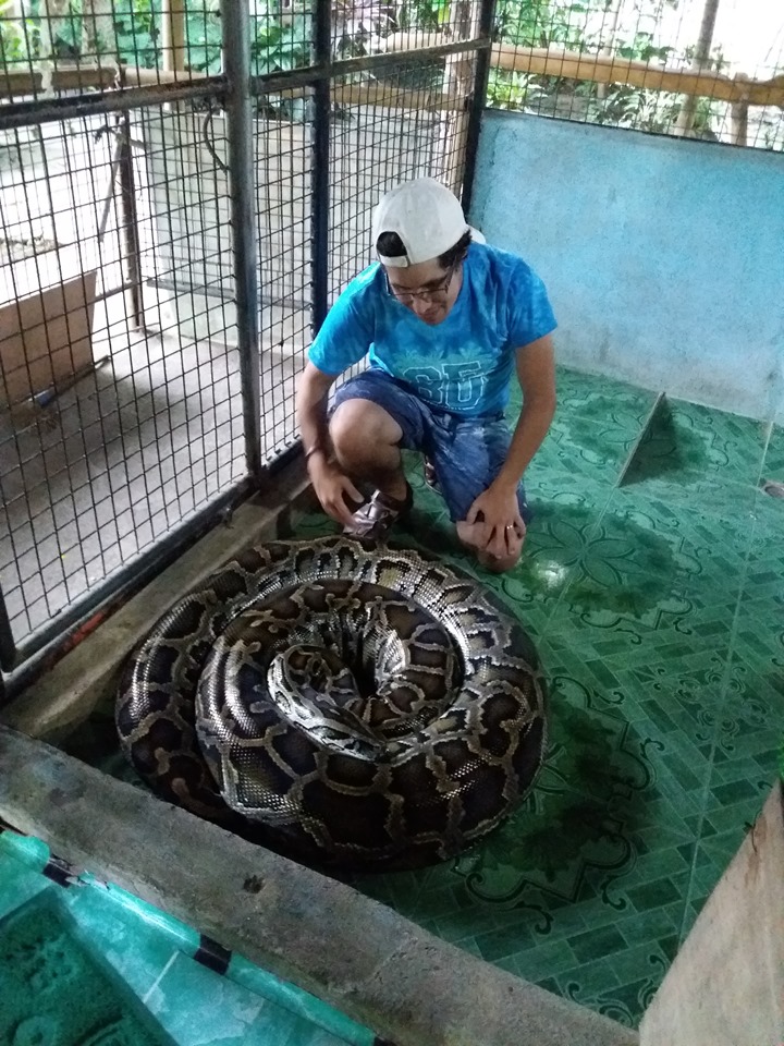 Python Sanctuary in bohol island